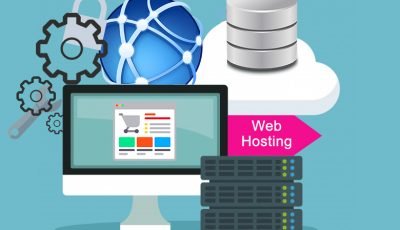 Domain and Web Hosting services